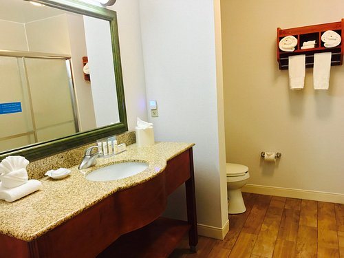 Hampton Inn Garden City — Bathroom