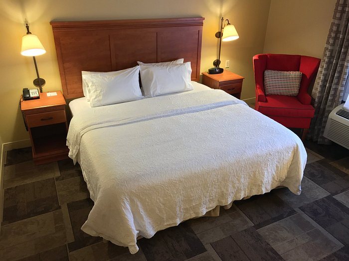 Hampton Inn Garden City — Guest room