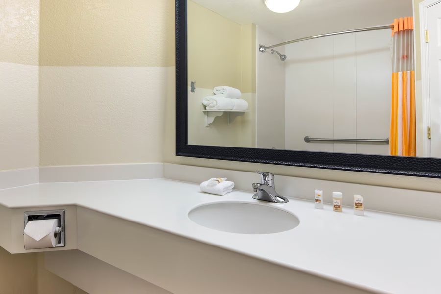 Hampton Inn Greenville i 385 Haywood Mall — Bathroom