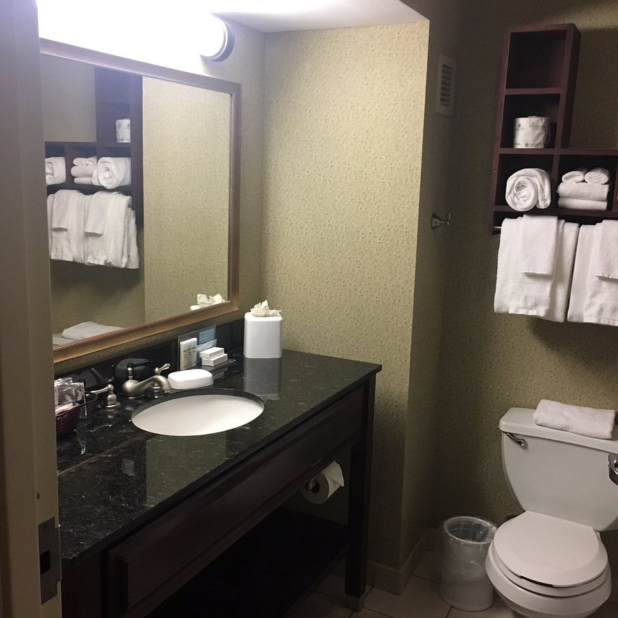 Hampton Inn Greenville I 385 Woodruff Rd — Bathroom