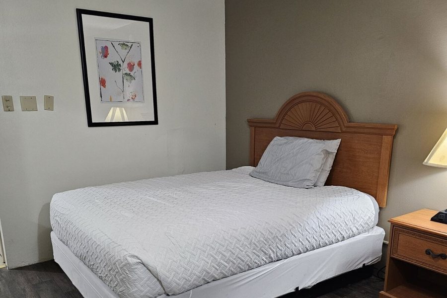 Hampton Inn Hastings — Guest room