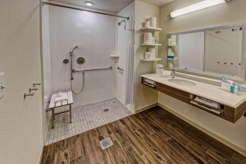 Hampton Inn Hendersonville — Bathroom