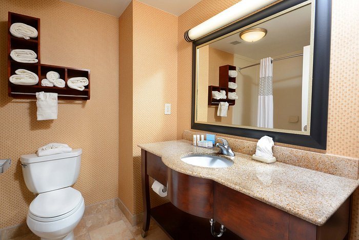 Hampton Inn Huntsville village Of Providence — Bathroom