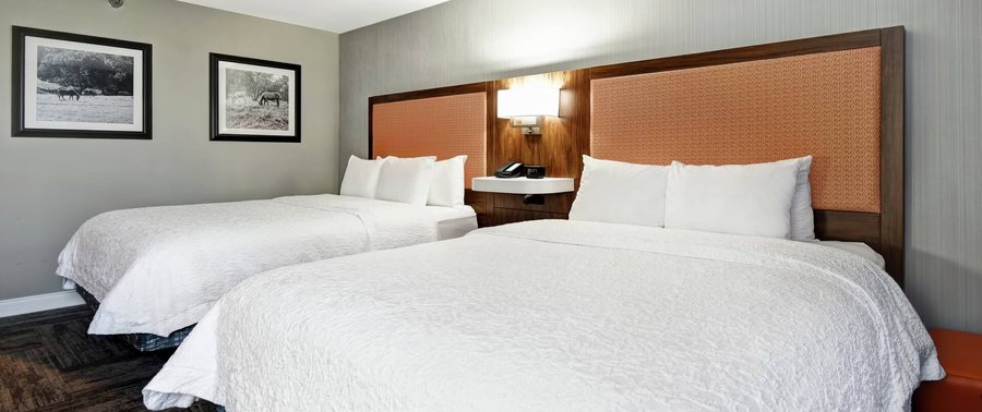 Hampton Inn I 75 Lexington Hamburg Area — Guest room