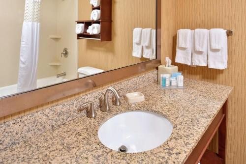Hampton Inn Idaho Falls Airport — Bathroom