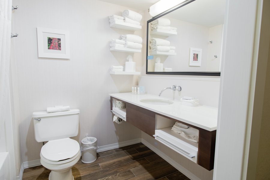 Hampton Inn Kingsville — Bathroom