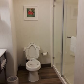 Hampton Inn Lagrange Near Callaway Gardens — Bathroom