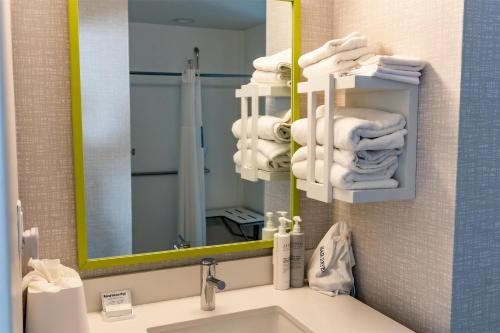 Hampton Inn Leesburg tavares — Bathroom