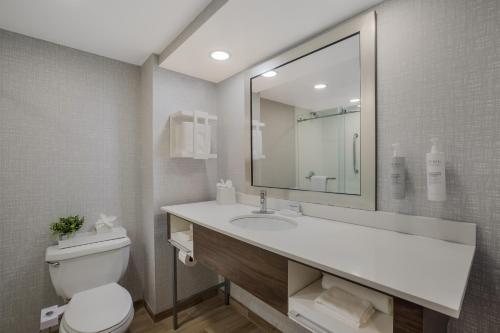 Hampton Inn Locust Grove — Bathroom