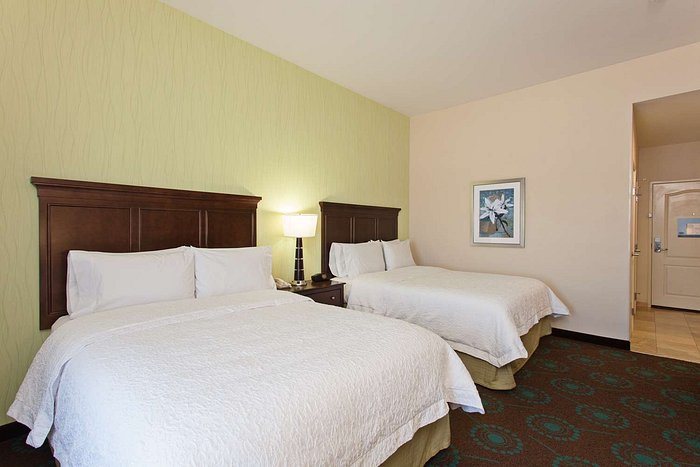 Hampton Inn Los Angeles Int l Airport Hawthorne — Guest room