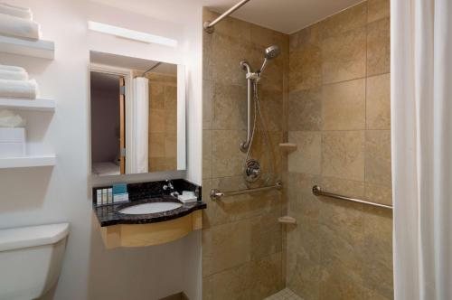 Hampton Inn Manhattan Times Square South New York City New York — Bathroom