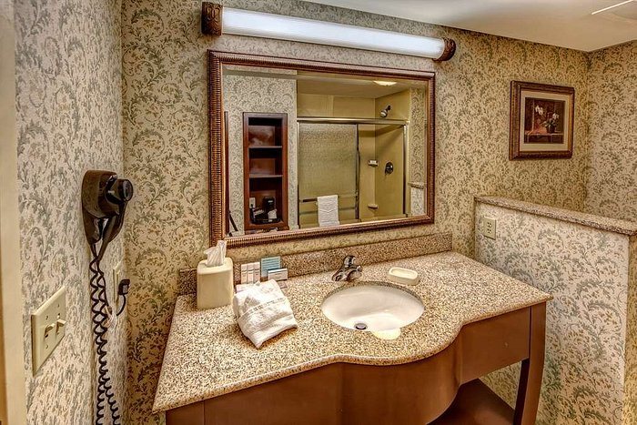 Hampton Inn Manning — Bathroom