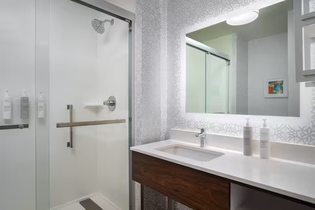 Hampton Inn Memphis Poplar — Bathroom