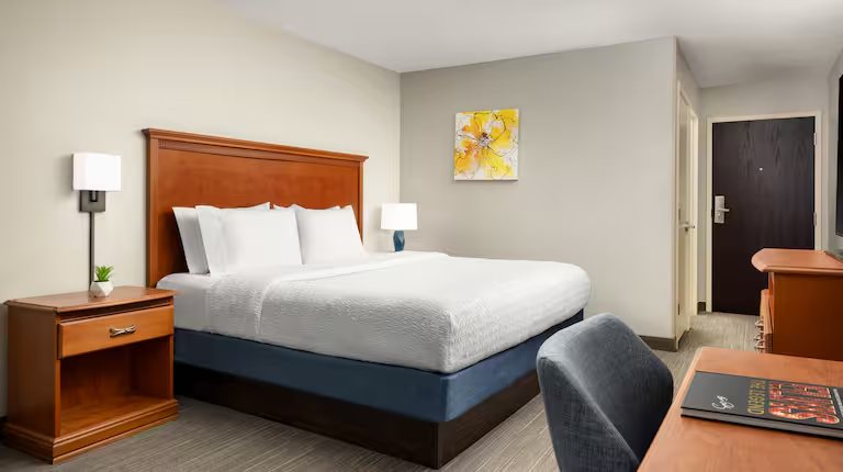 Hampton Inn Memphis walnut Grove baptist Hospital East — Guest room