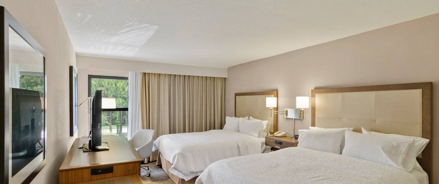 Hampton Inn Mount Dora — Guest room