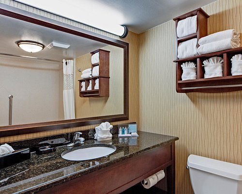 Hampton Inn Myrtle Beach West — Bathroom