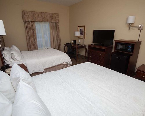 Hampton Inn Oneonta — Guest room