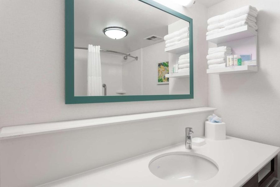 Hampton Inn Orlando International Drive Convention Center — Bathroom