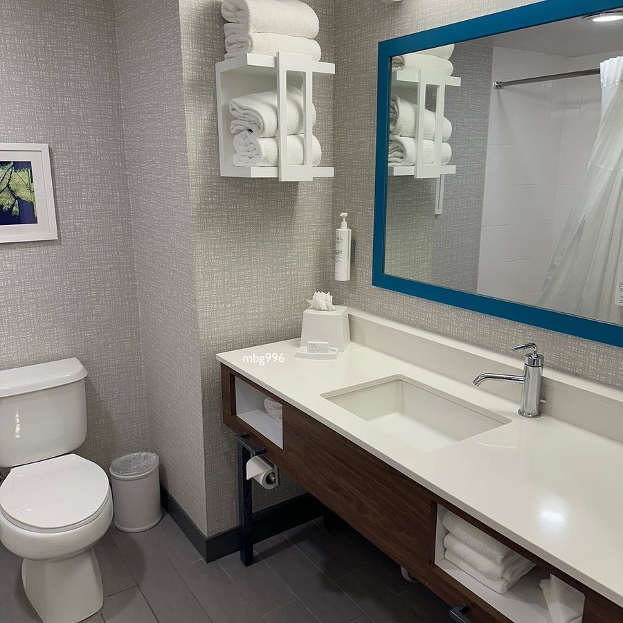 Hampton Inn Orlando Lake Buena Vista — Bathroom