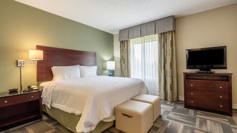 Hampton Inn Orlando Lake Buena Vista — Guest room