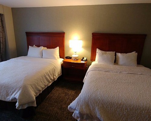 Hampton Inn Parsippany — Guest room