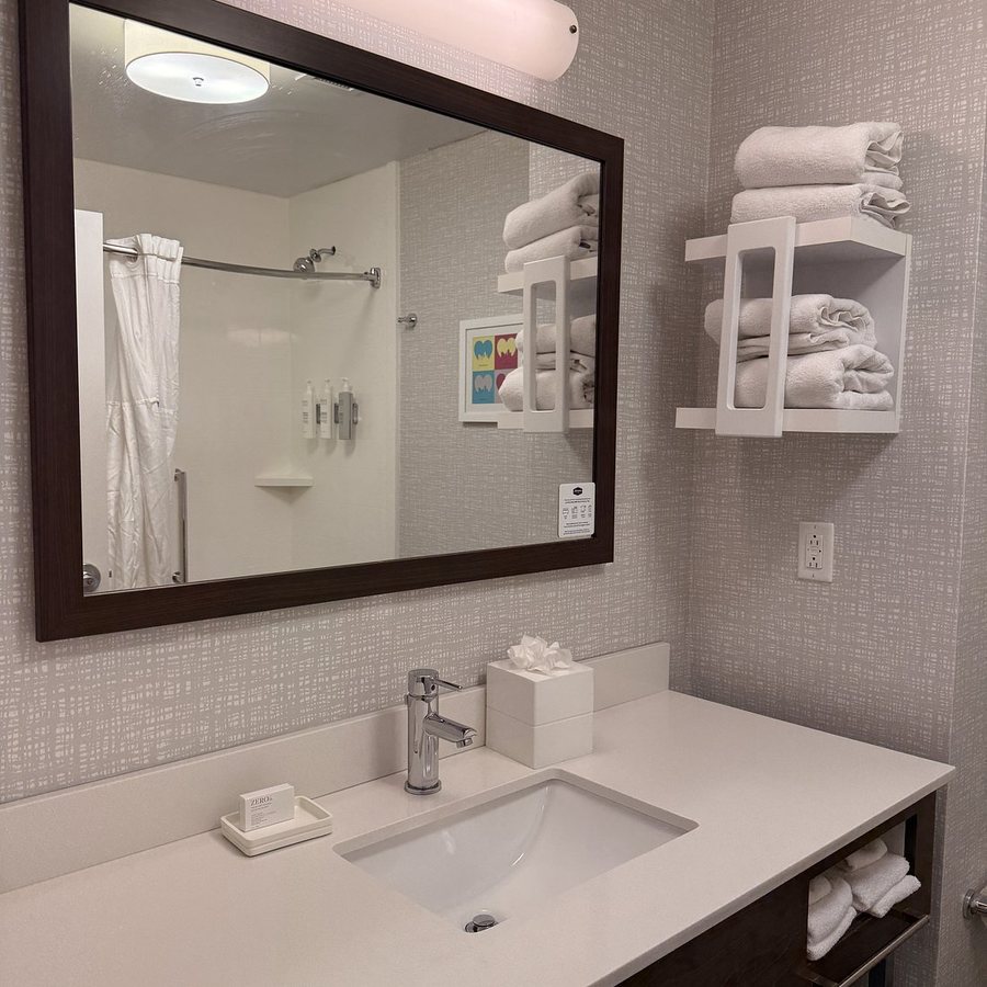 Hampton Inn Pittsburgh Monroeville — Bathroom