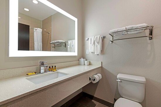 Hampton Inn Pleasanton — Bathroom