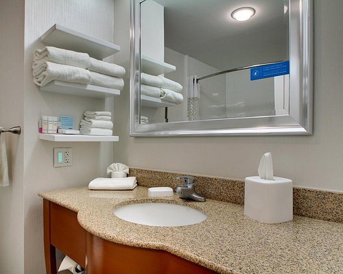 Hampton Inn Rolla — Bathroom