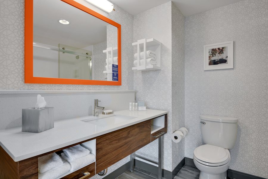 Hampton Inn Salem Boston — Bathroom