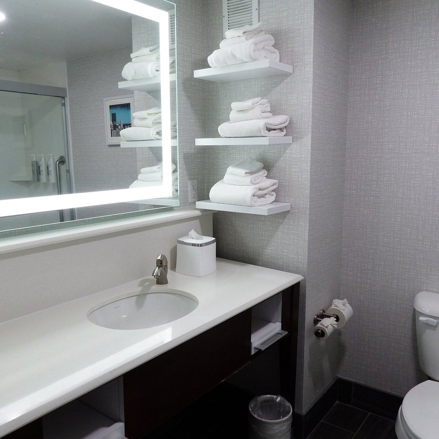 Hampton Inn Salem East Electric Road — Bathroom