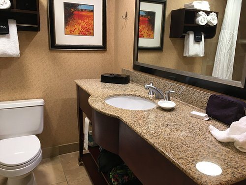 Hampton Inn Salt Lake City Murray — Bathroom