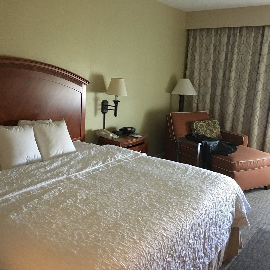 Hampton Inn San Antonio Stone Oak — Guest room