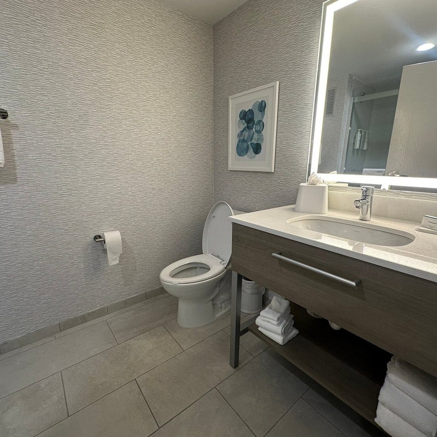 Hampton Inn Sarasota I 75 Bee Ridge — Bathroom