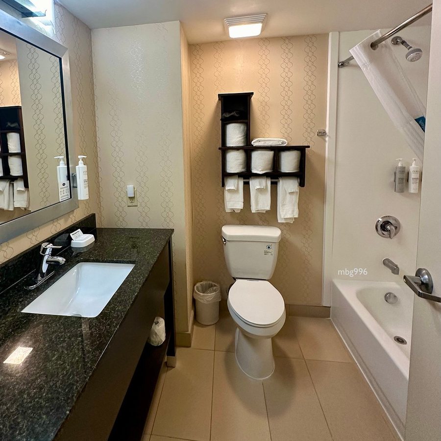Hampton Inn Savannah I 95 Richmond Hill — Bathroom