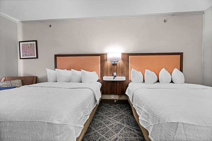 Hampton Inn Seguin — Guest room