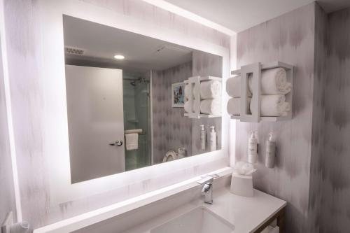 Hampton Inn St Augustine Downtown Historic District — Bathroom