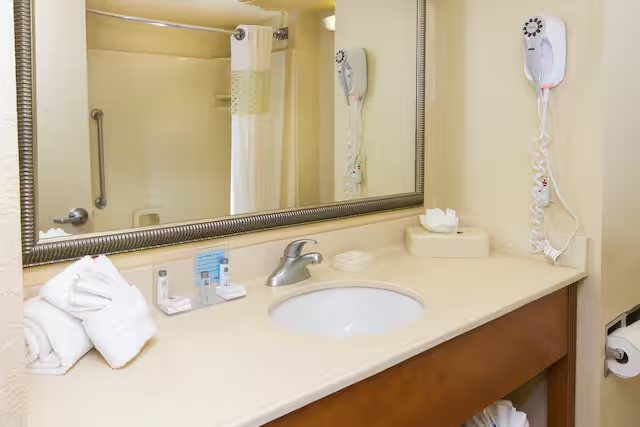 Hampton Inn St Augustine Us1 North — Bathroom