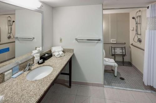 Hampton Inn St Louis Downtown At the Gateway Arch — Bathroom