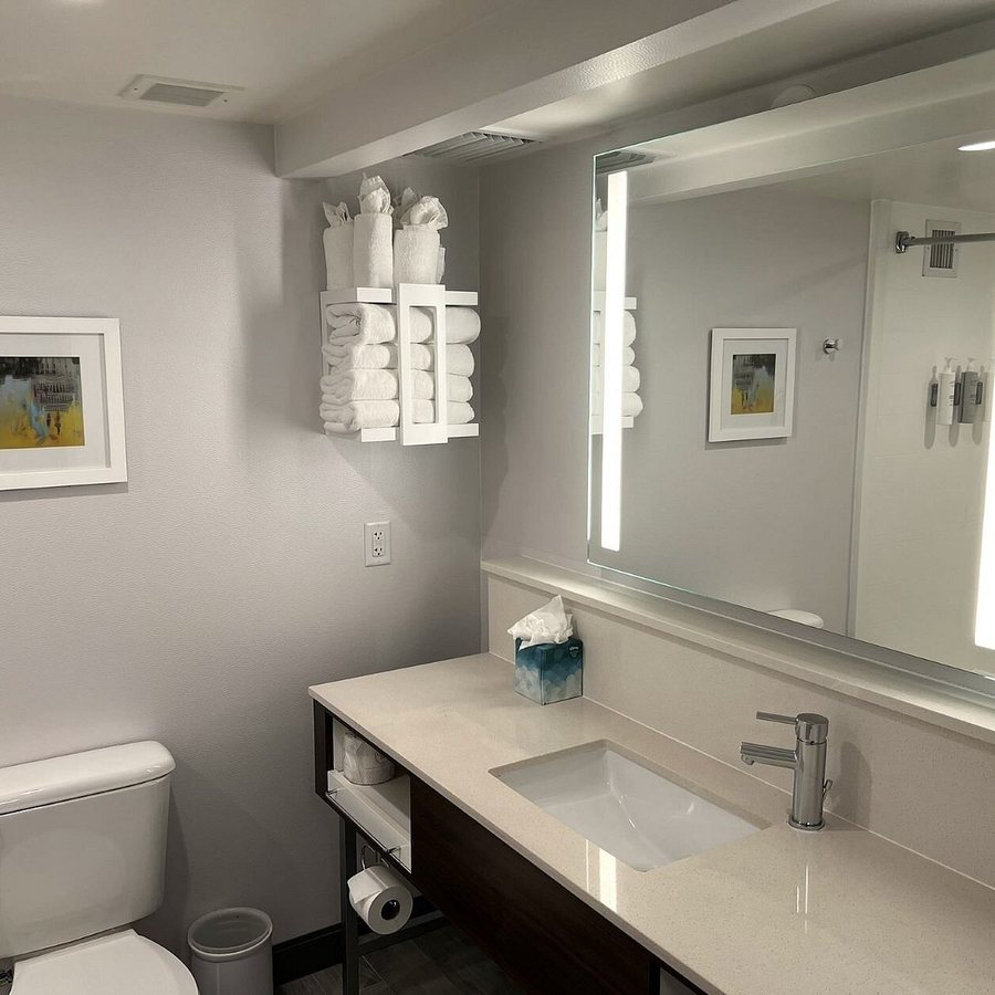 Hampton Inn Suites Arlington Crystal City Dca — Bathroom
