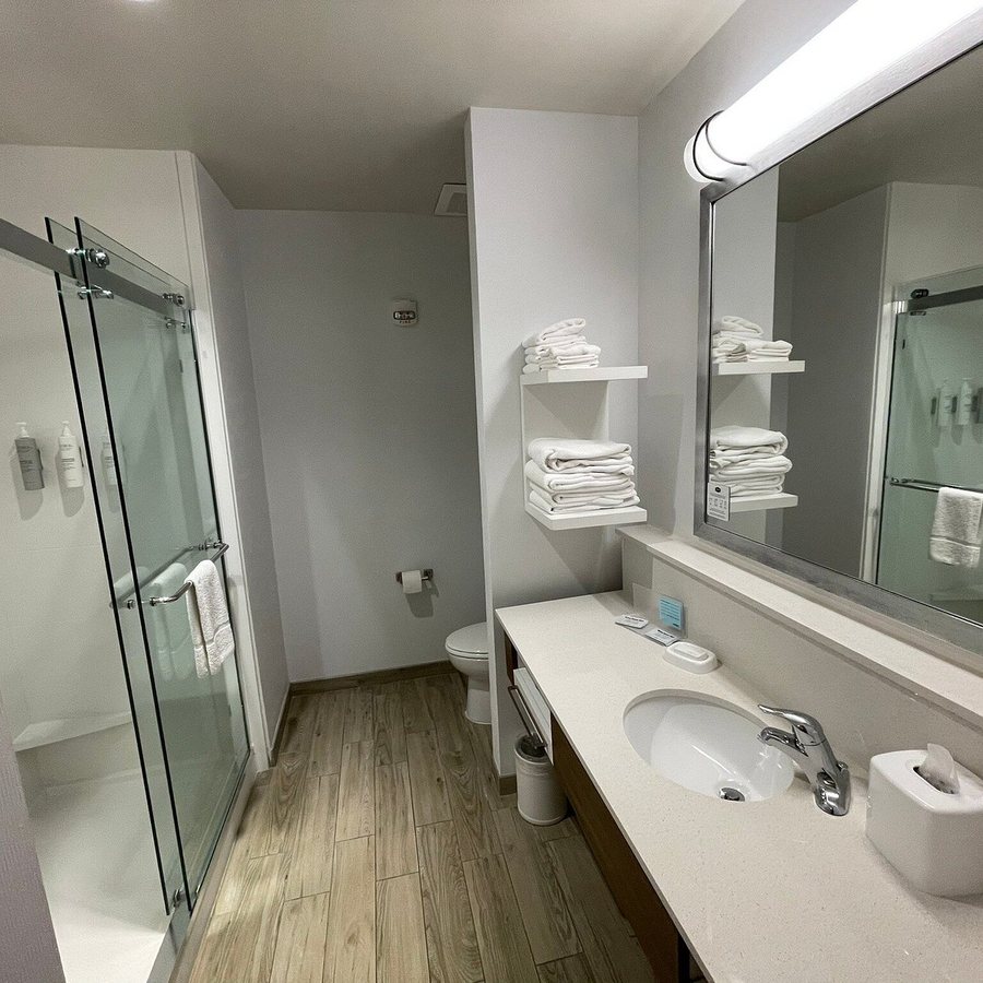 Hampton Inn Suites Asheville Airport — Bathroom