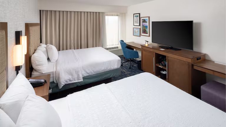 Hampton Inn Suites Asheville Airport — Guest room