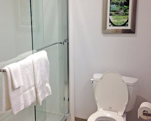Hampton Inn Suites Asheville Biltmore Area Asheville North Carolina — Bathroom