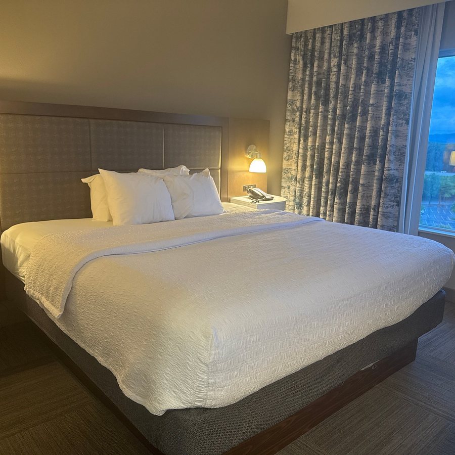 Hampton Inn Suites Asheville Biltmore Village Asheville North Carolina — Guest room