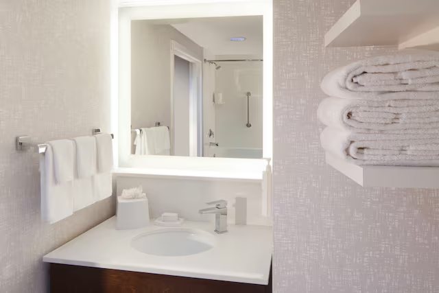 Hampton Inn Suites Atlanta Airport West camp Creek Pkwy — Bathroom