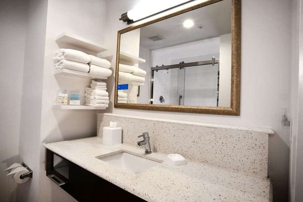 Hampton Inn Suites Baltimore Aberdeen — Bathroom