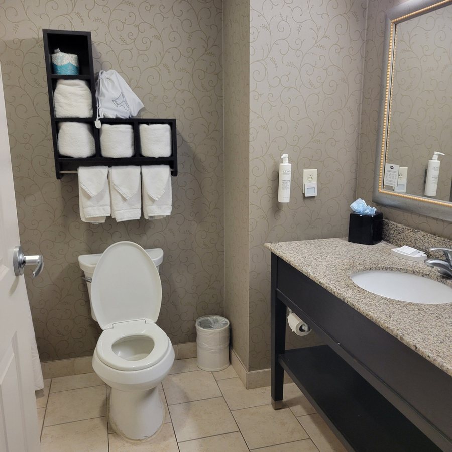 Hampton Inn Suites Baton Rouge Downtown — Bathroom
