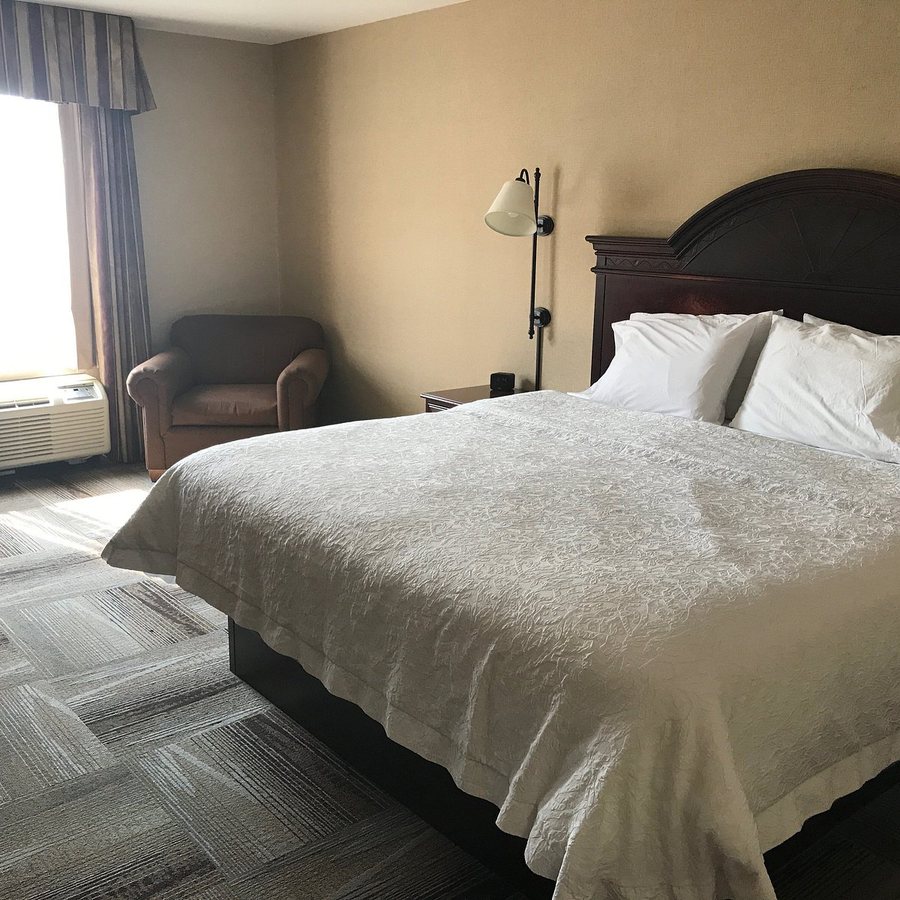 Hampton Inn Suites Boise Meridian — Guest room