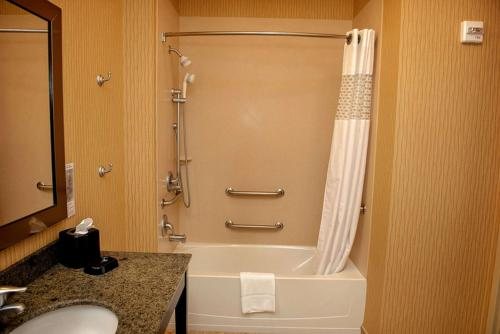 Hampton Inn Suites Bradenton Downtown Historic District — Bathroom