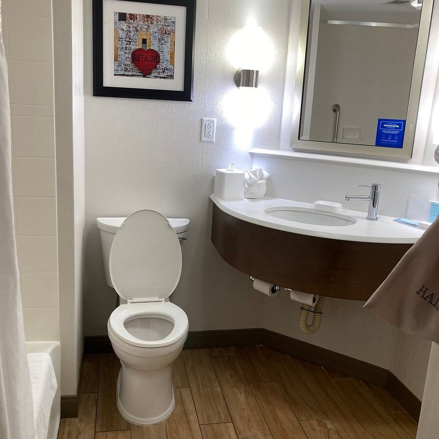 Hampton Inn Suites Buffalo Airport — Bathroom