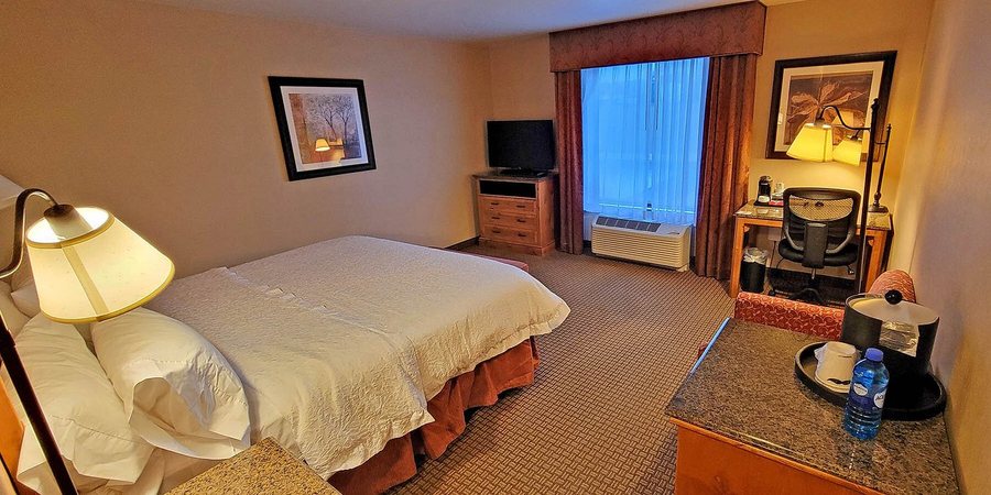 Hampton Inn Suites Buffalo — Guest room